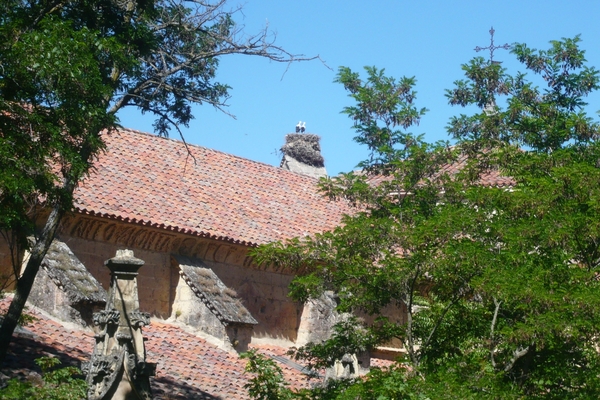 P1080164