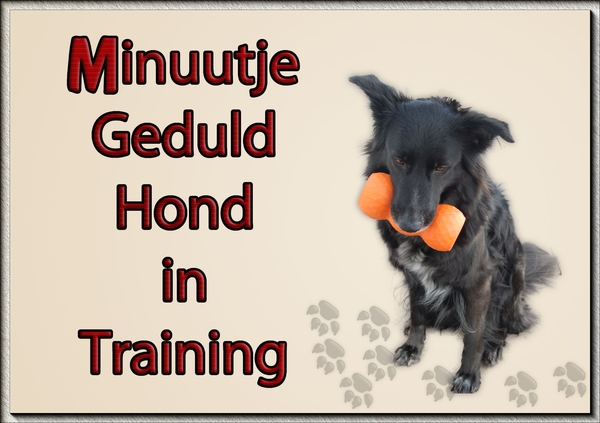 Minuutje hond in training