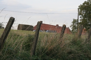 IMG_0861