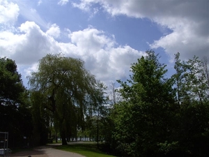 20120519.Overmere 002