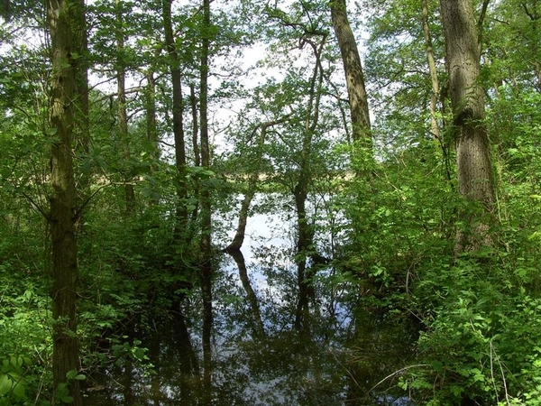 20120519.Overmere 032