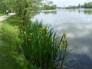 20120519.Overmere 036