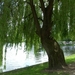 20120519.Overmere 047