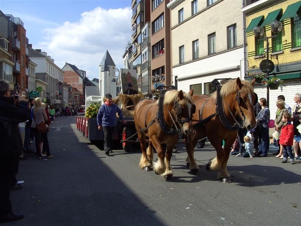 20120513.DeinzeCanteclaer 023 (Medium)