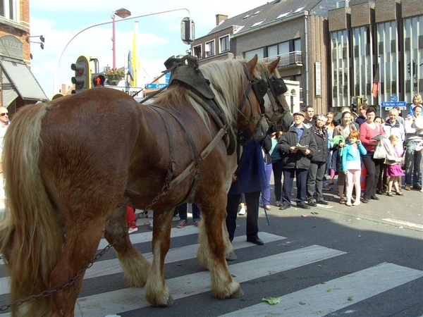 20120513.DeinzeCanteclaer 037 (Medium)