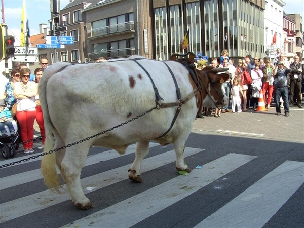 20120513.DeinzeCanteclaer 040 (Medium)