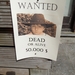 Wanted