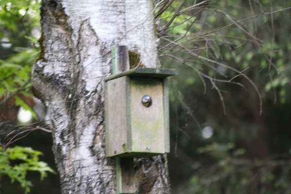 Garderen mei 2012 (132)