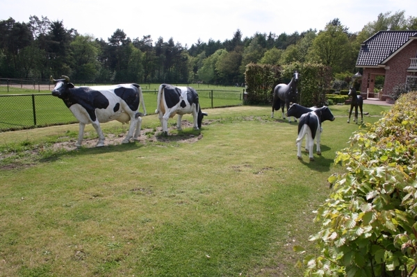 Garderen mei 2012 (199)