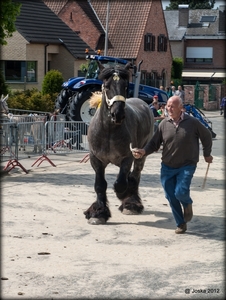IMG_0173