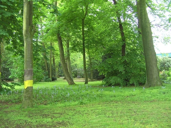 20120517.Destelb.Literair 008