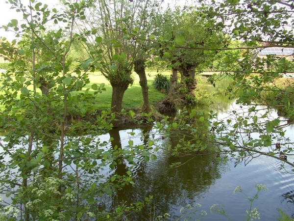 20120517.Destelb.Literair 023