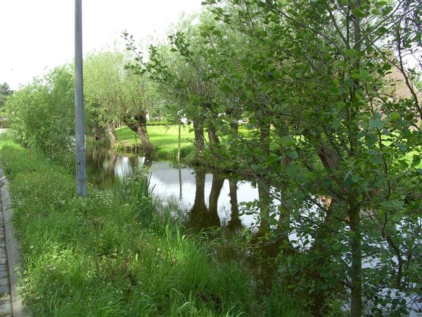 20120517.Destelb.Literair 024