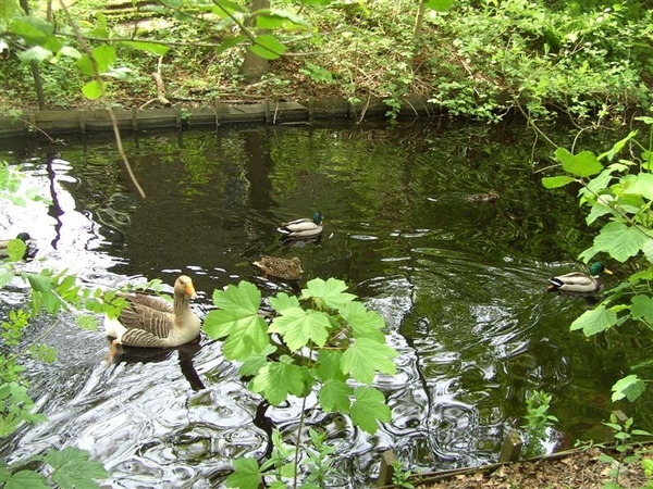 20120517.Destelb.Literair 030