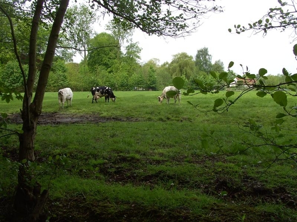 20120517.Destelb.Literair 035