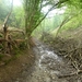 2012-05-21 Pepinster-Spa 068