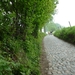 2012-05-20 Kluisbergen 020