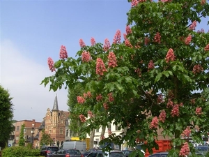 20120522.Lokeren 054