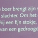 20120522.Lokeren 094  Runderpenis