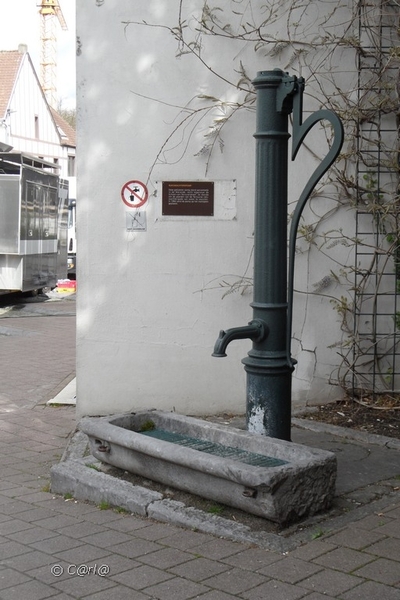 2012-04-27 Tervuren (114)