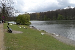 2012-04-27 Tervuren (117)