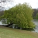 2012-04-27 Tervuren (125)