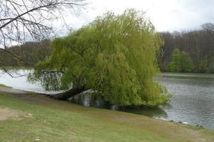 2012-04-27 Tervuren (125)