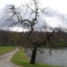 2012-04-27 Tervuren (126)