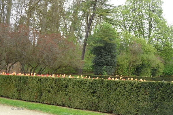 2012-04-27 Tervuren (145)