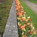 2012-04-27 Tervuren (146)