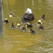 2012-04-27 Tervuren (154)