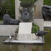 2012-04-27 Tervuren (169)