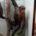2012-04-27 Tervuren (271)