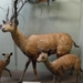 2012-04-27 Tervuren (272)