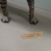 2012-04-27 Tervuren (281)