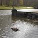 2012-04-27 Tervuren (51)