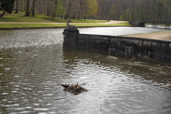 2012-04-27 Tervuren (51)