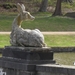 2012-04-27 Tervuren (55)