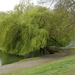 2012-04-27 Tervuren (70)