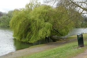 2012-04-27 Tervuren (70)