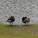 2012-04-27 Tervuren (72)