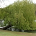 2012-04-27 Tervuren (73)