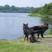 Serooskerke
