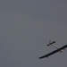 SOLAR-IMPULSE HB SIA' (12)