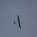 SOLAR-IMPULSE HB SIA' (5)