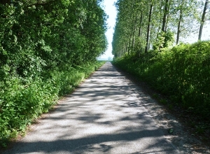 Rustig