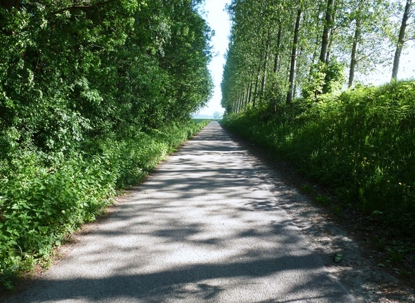 Rustig