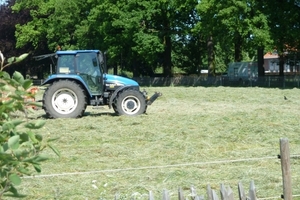 Houdt het gras laag (pollen)