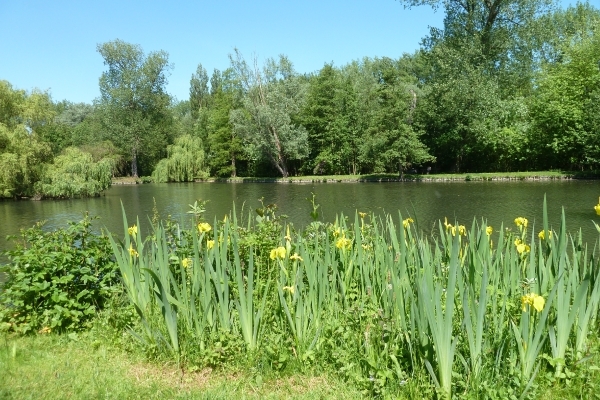 Rivierenhof Deurne