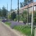 Leerdam, 26  mei 2012 123